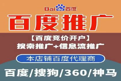 百度推广费用投入与品牌知名度提升的案例分析
